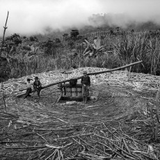 The trapiche is a hand-powered mill used to squeeze the juice out of sugarcane. Communities of Population in Resistance of the Sierra, 1993