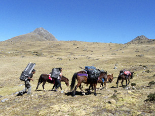 On a six hour hike from Pucamarca out to the nearest road in Ushmay. Ayacucho Region, Peru, 2012