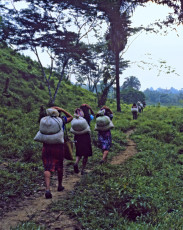 Members of the Communities of Population in Resistance of the Ixcán carry rations and goods they got in Mexico back to their settlements in Guatemala. Puerto Rico finca, Ixcan, Chiapas, Mexico